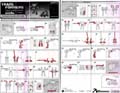 Solar Storm Grappel hires scan of Instructions